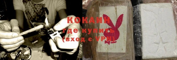 прущие грибы Каменка