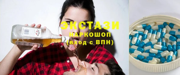 гидра Богданович