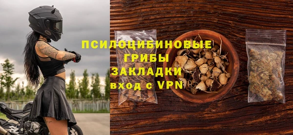 гидра Богданович