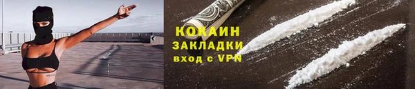гидра Богданович