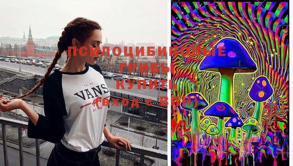 соль курить ск Богородск