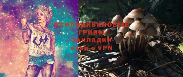 гидра Богданович