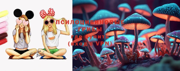 соль курить ск Богородск