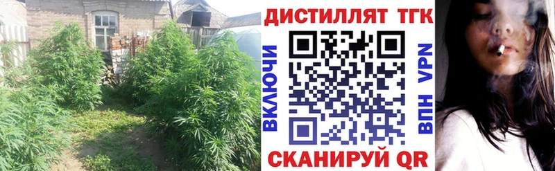 omg tor  Краснокамск  ТГК гашишное масло 